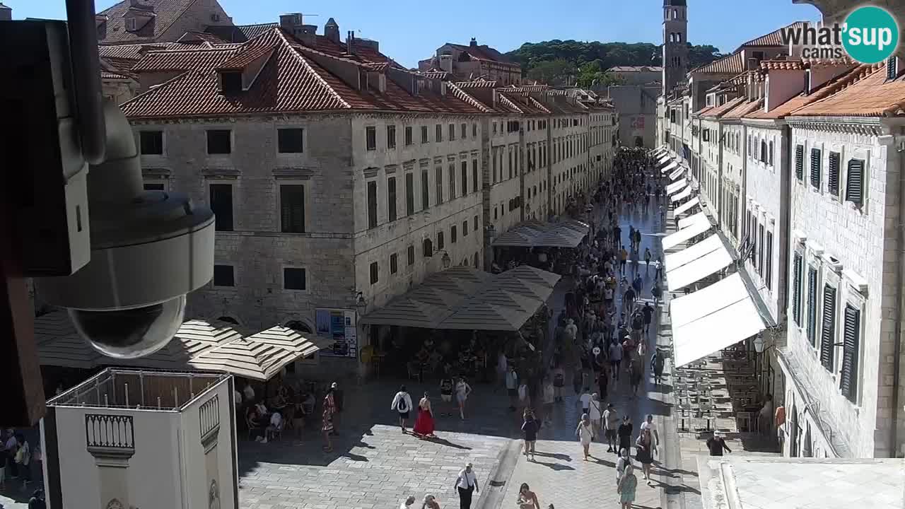 Kamera uživo Dubrovnik – Placa / Štradun