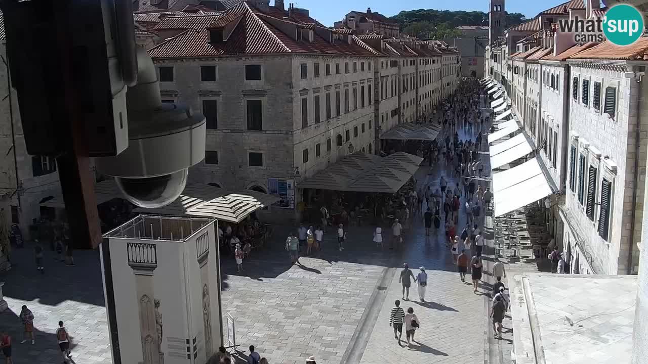 Livecam Dubrovnik Stradun