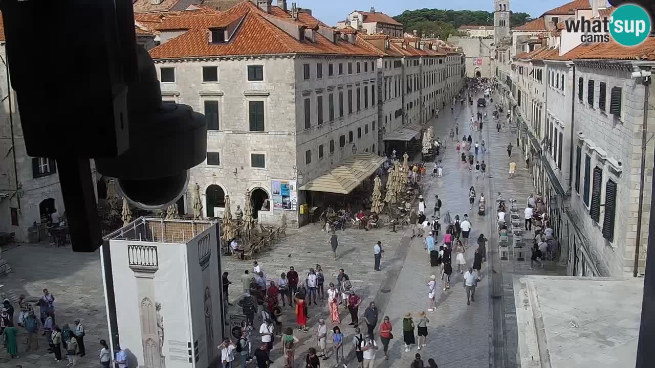 Camera en vivo Dubrovnik Stradun