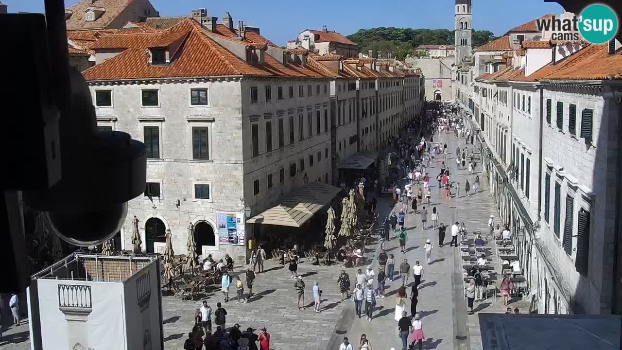 Livecam Dubrovnik Stradun