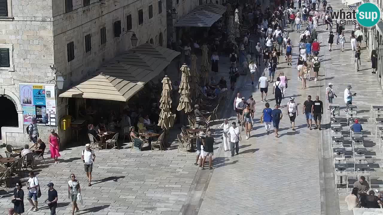 Camera en vivo Dubrovnik Stradun