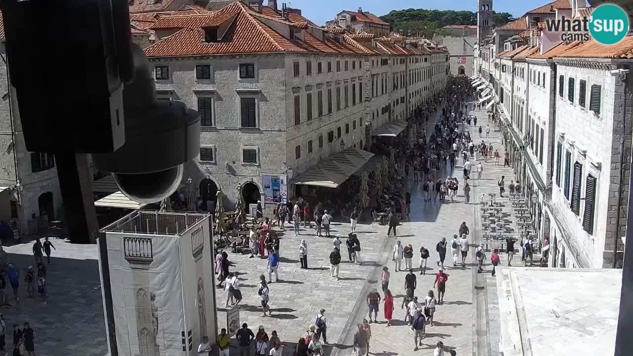 Livecam Dubrovnik Stradun