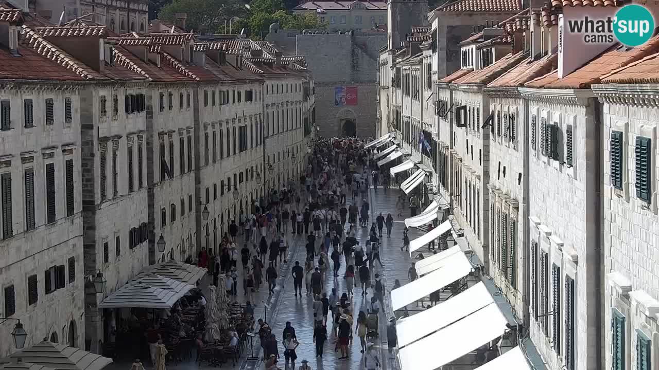 Live Webcam Dubrovnik Stradun