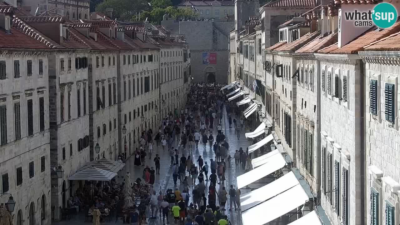 Camera en vivo Dubrovnik Stradun
