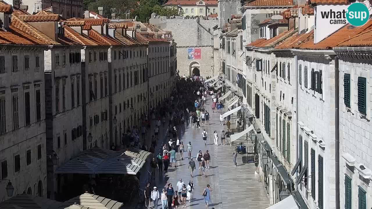 Livecam Dubrovnik Stradun