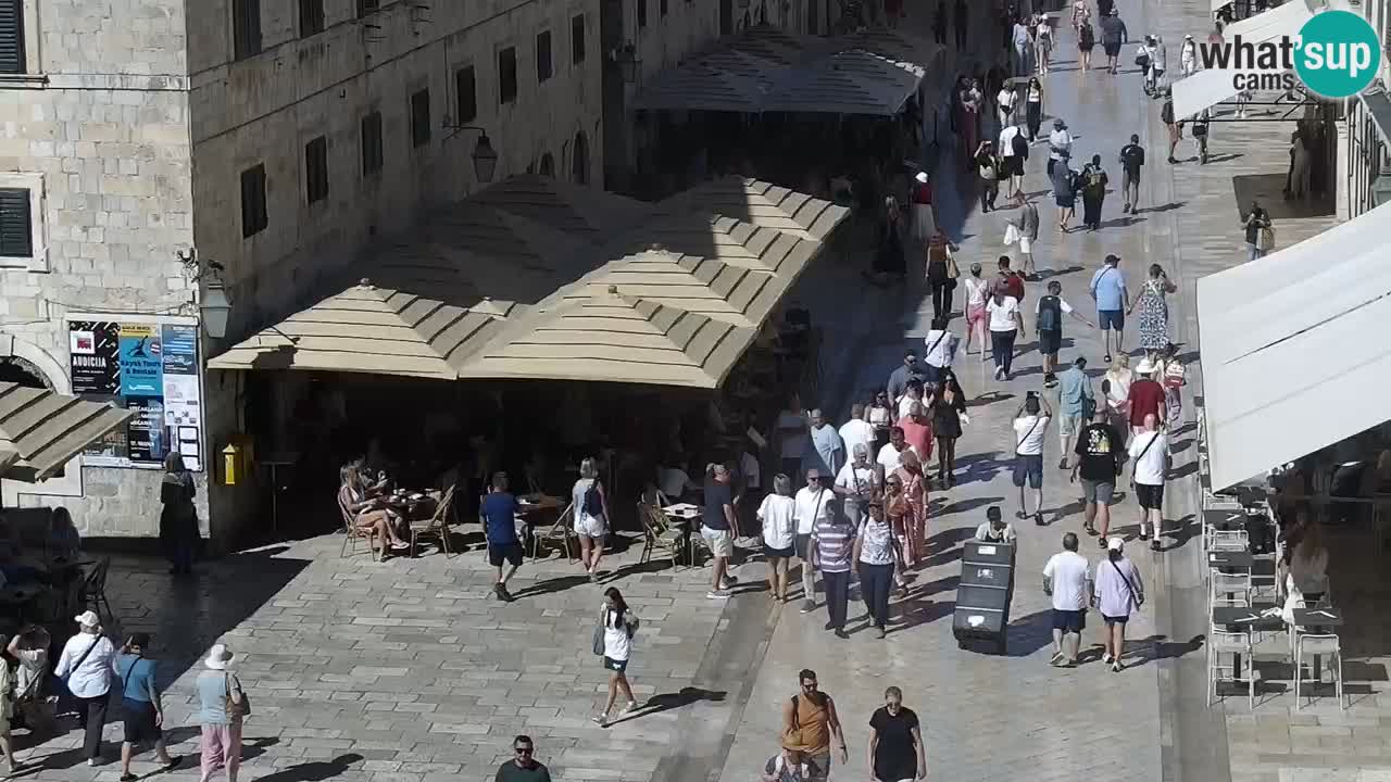 Camera en vivo Dubrovnik Stradun
