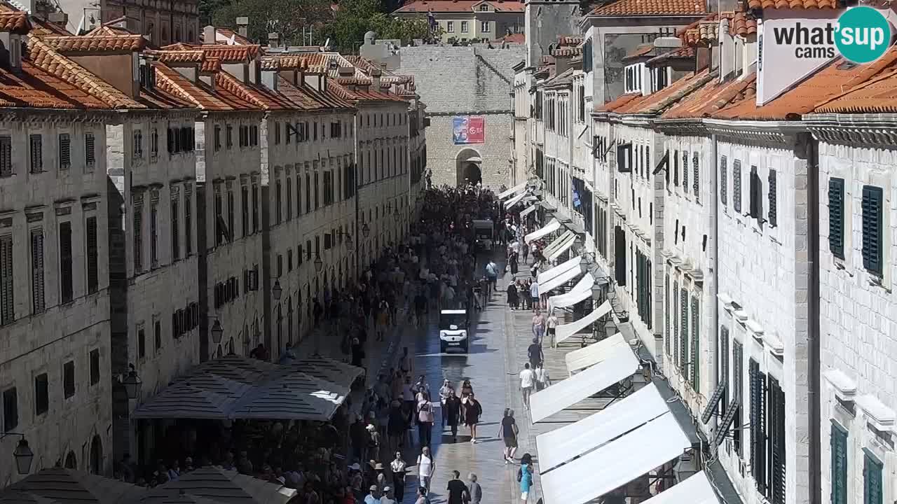Camera en vivo Dubrovnik Stradun