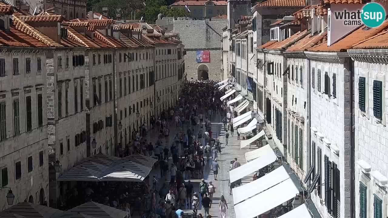 Camera en vivo Dubrovnik Stradun