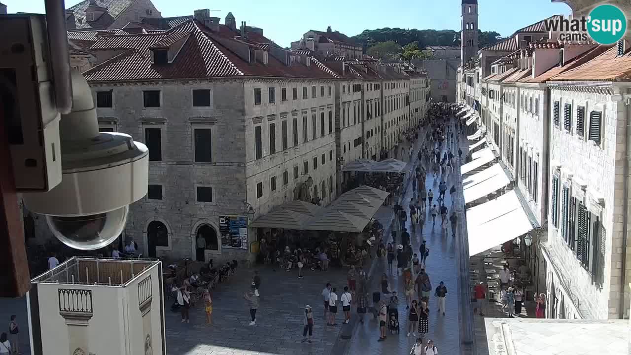 Kamera v živo Dubrovnik Stradun / Placa
