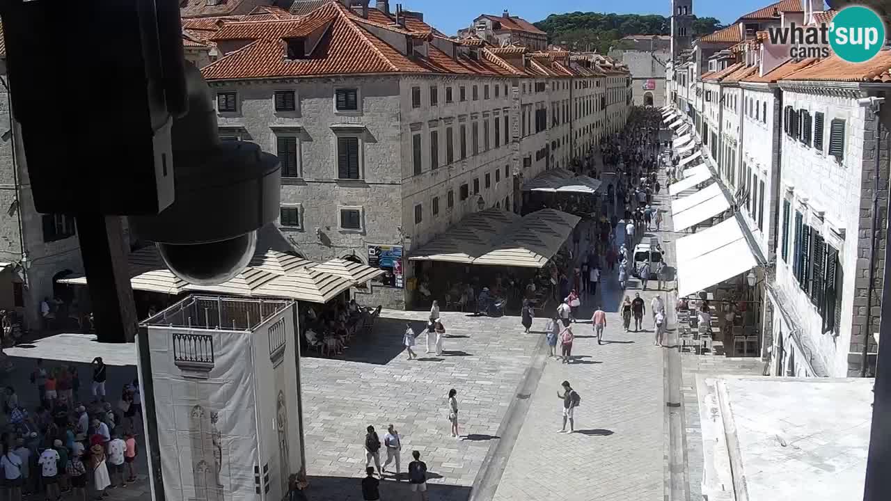 Live Webcam Dubrovnik Stradun