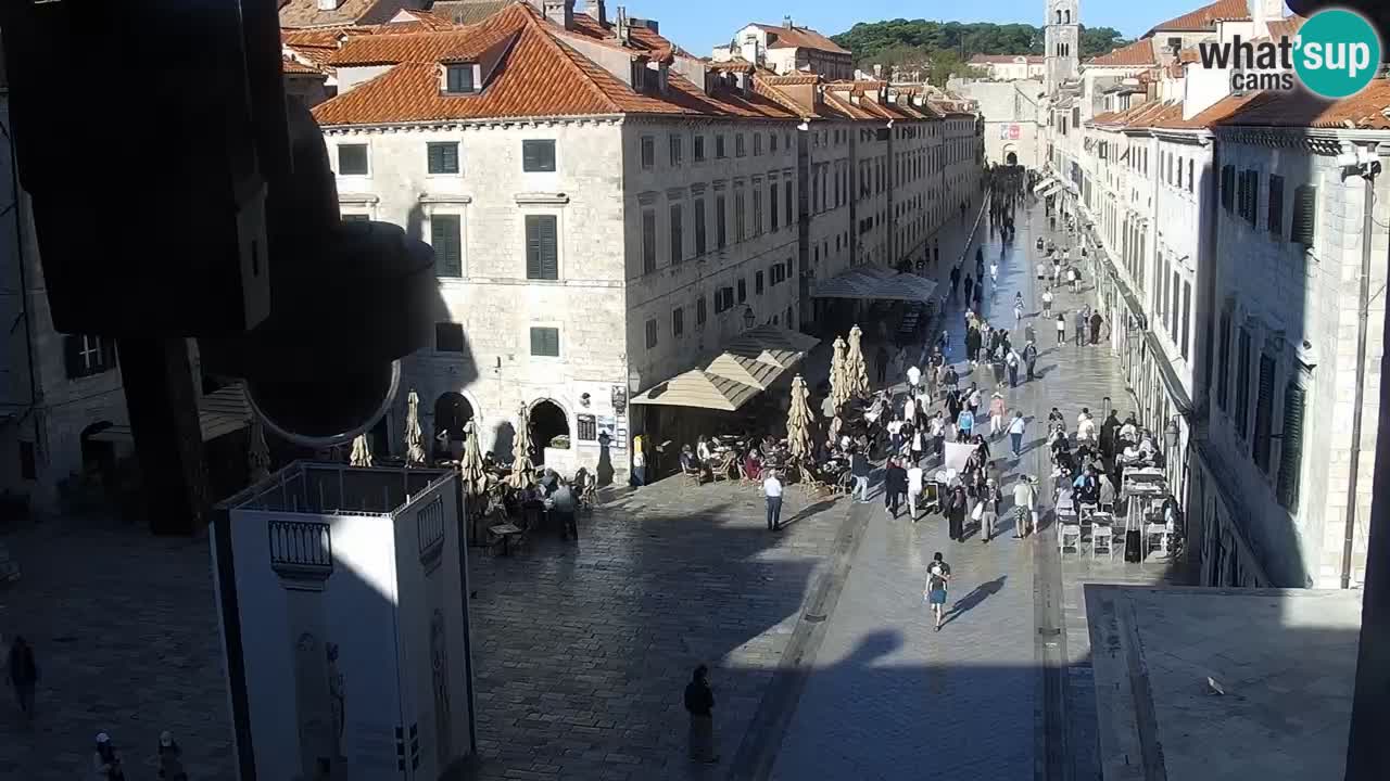 Live Webcam Dubrovnik Stradun