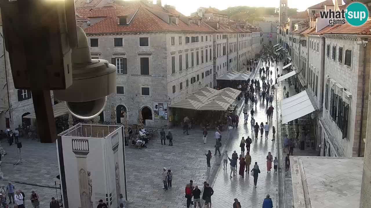 Livecam Dubrovnik Stradun
