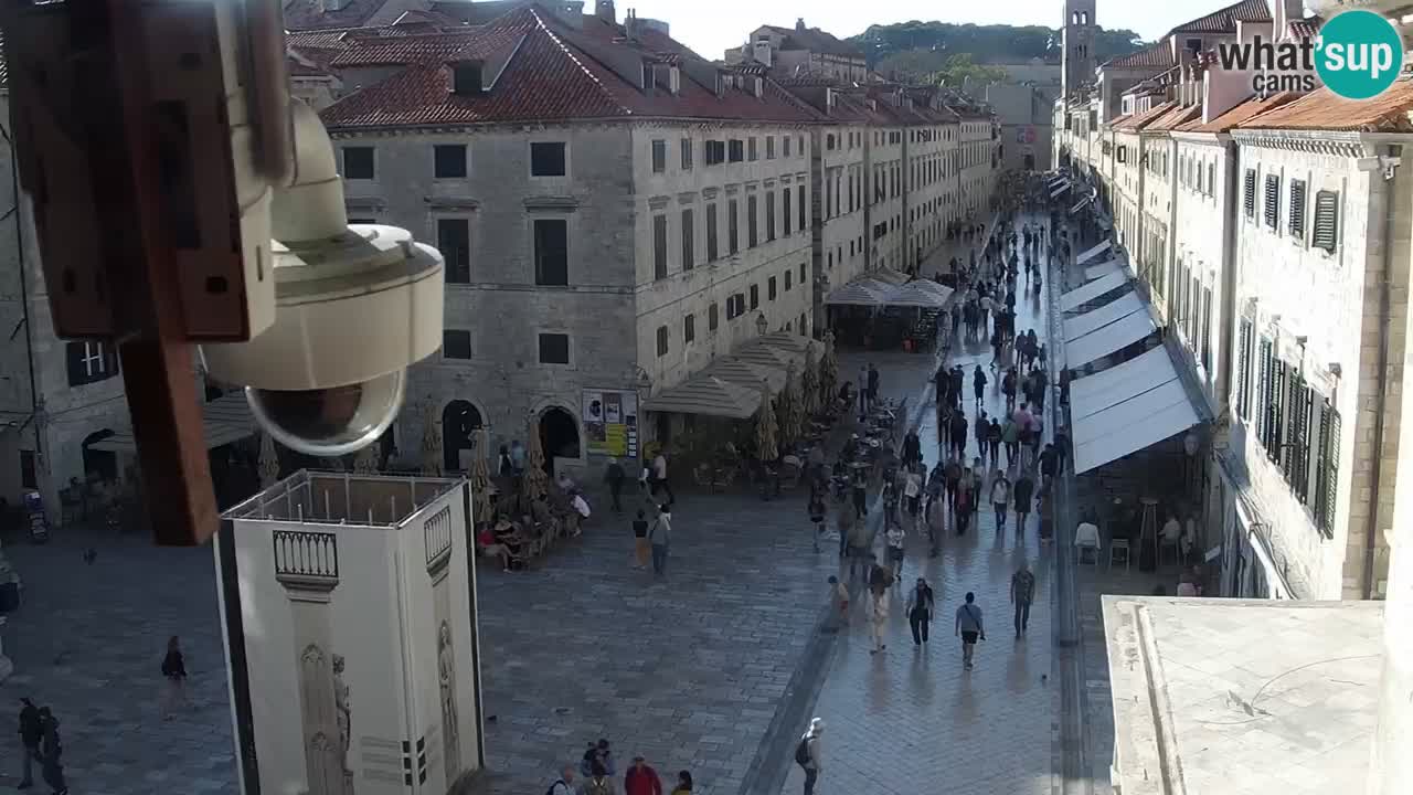 Live Webcam Dubrovnik Stradun