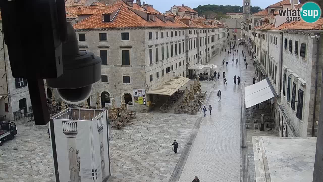 Livecam Dubrovnik Stradun