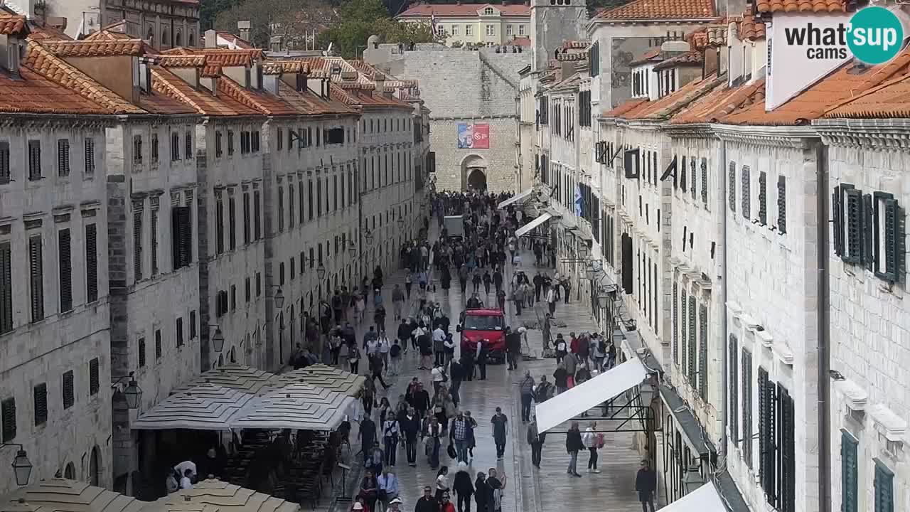 Live Webcam Dubrovnik Stradun