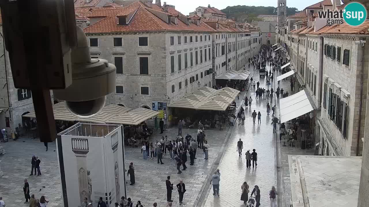 Livecam Dubrovnik Stradun