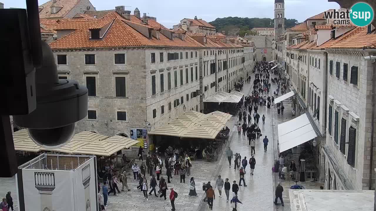 Camera en vivo Dubrovnik Stradun