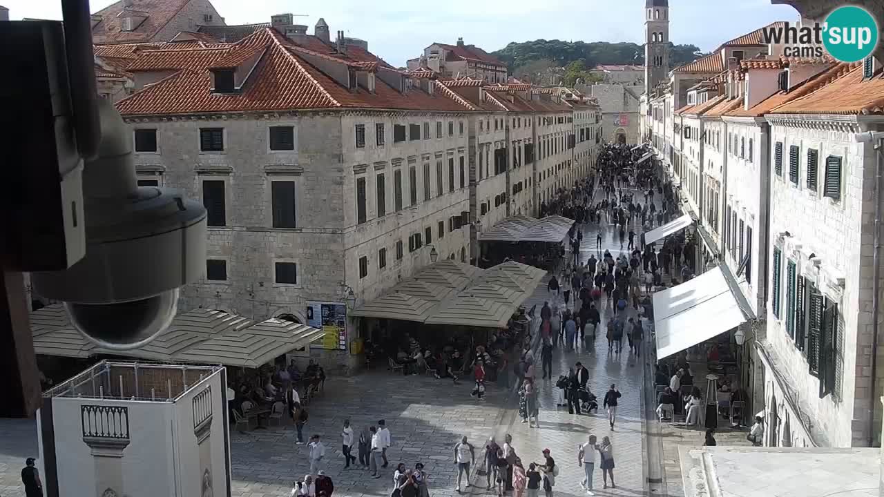 Live Webcam Dubrovnik Stradun