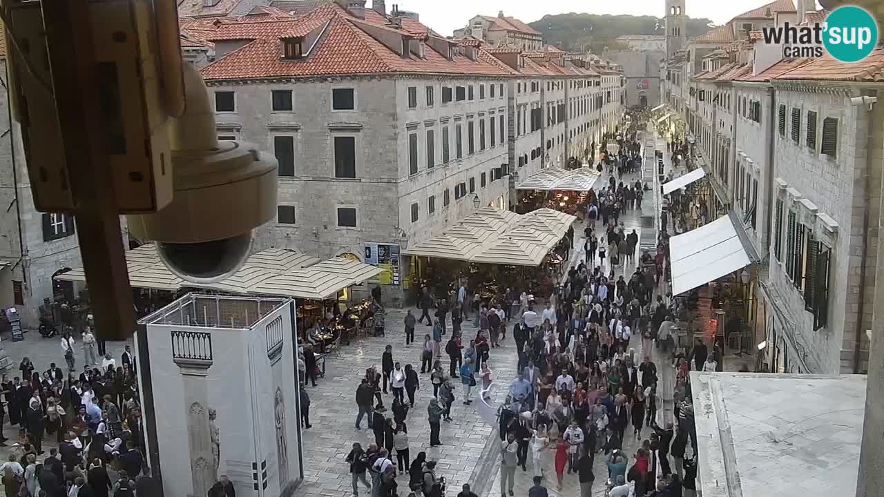 Webcam Ragusa (Dubrovnik) Stradun