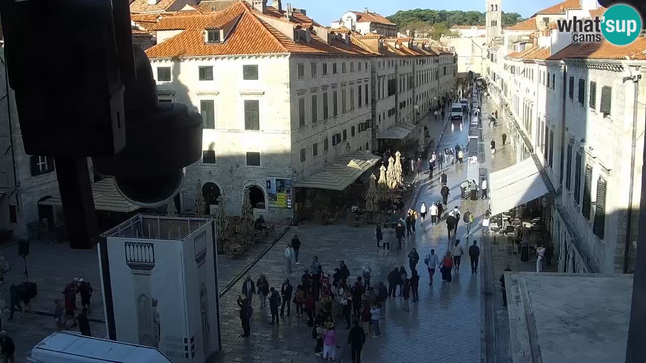 Livecam Dubrovnik Stradun