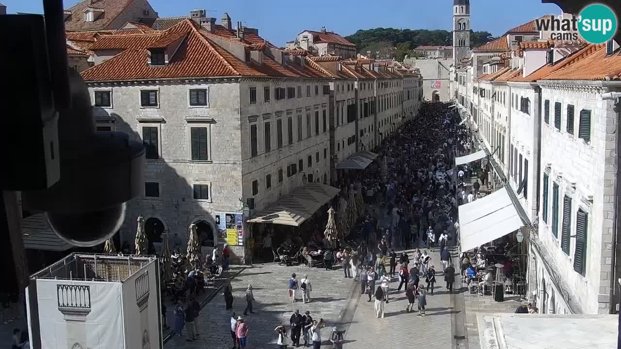 Livecam Dubrovnik Stradun