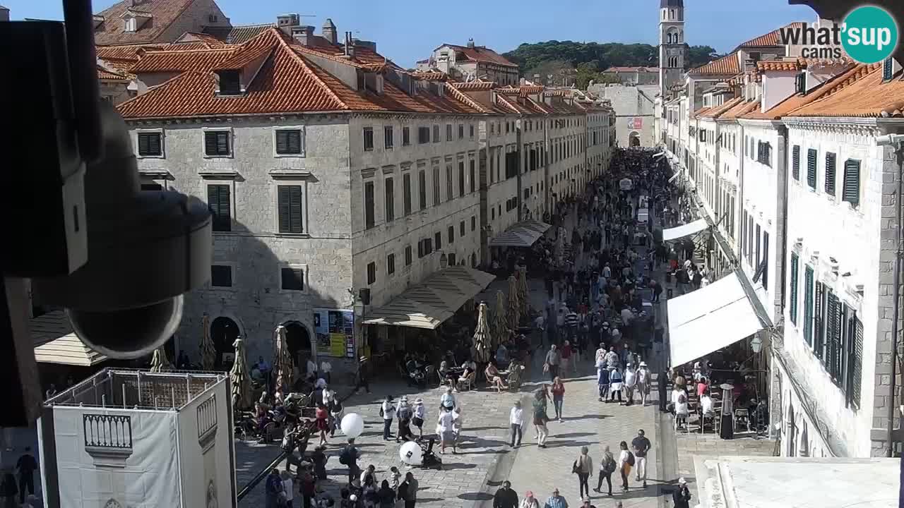 Camera en vivo Dubrovnik Stradun