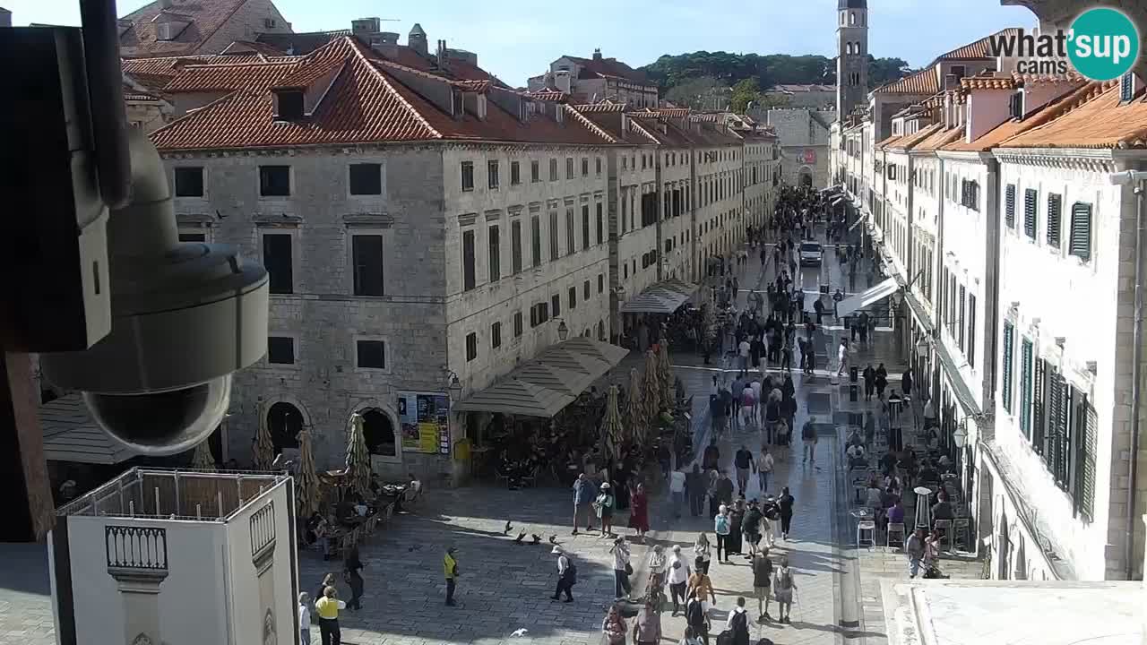 Live Webcam Dubrovnik Stradun