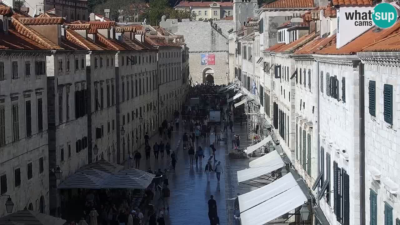 Livecam Dubrovnik Stradun