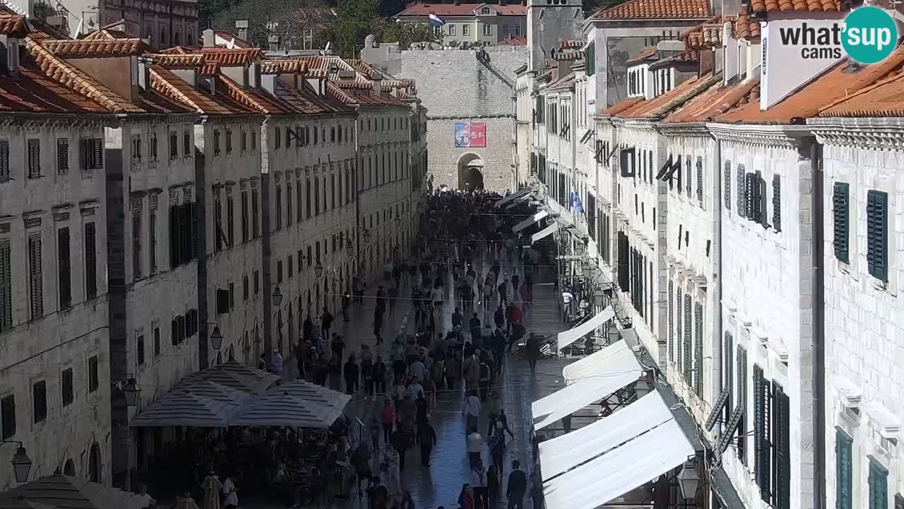Livecam Dubrovnik Stradun
