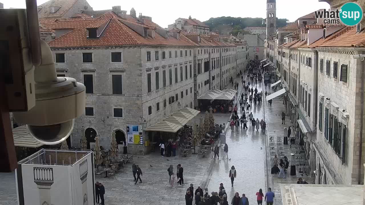 Livecam Dubrovnik Stradun