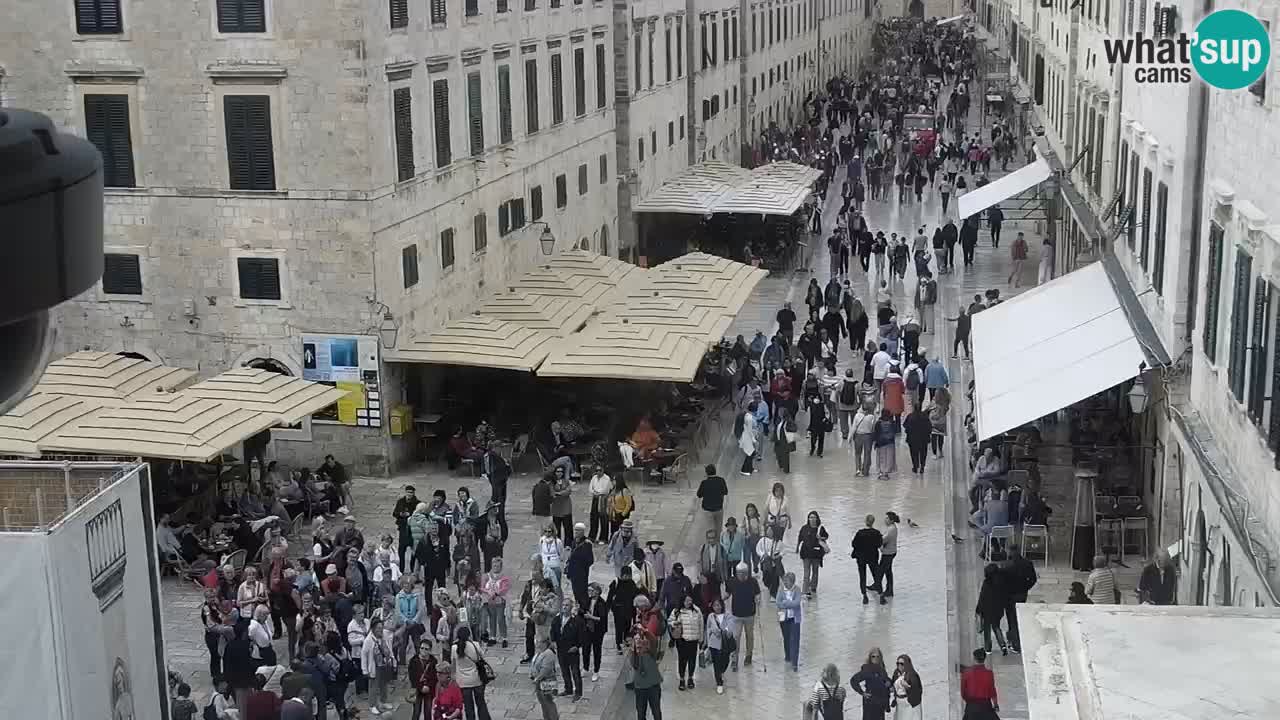 Livecam Dubrovnik Stradun