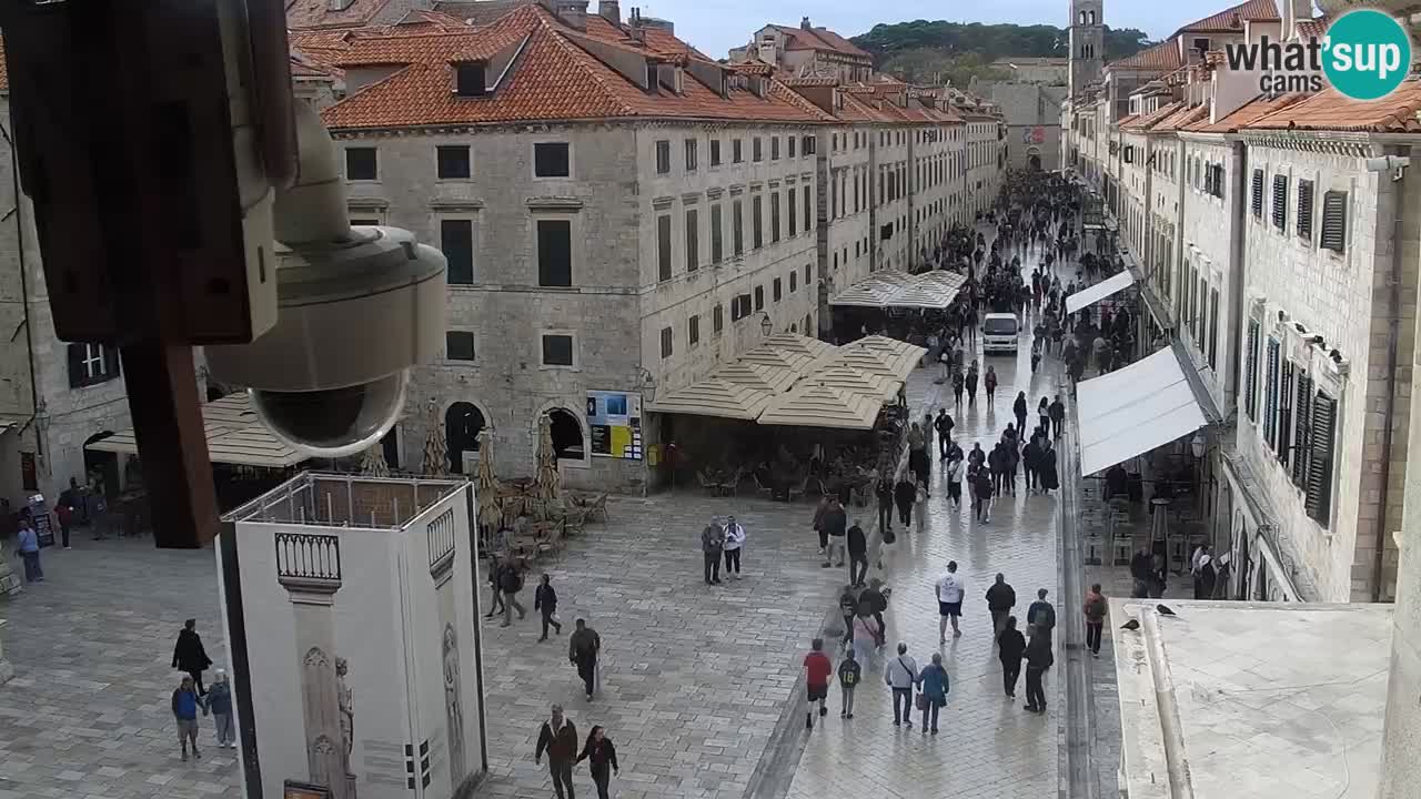 Live Webcam Dubrovnik Stradun