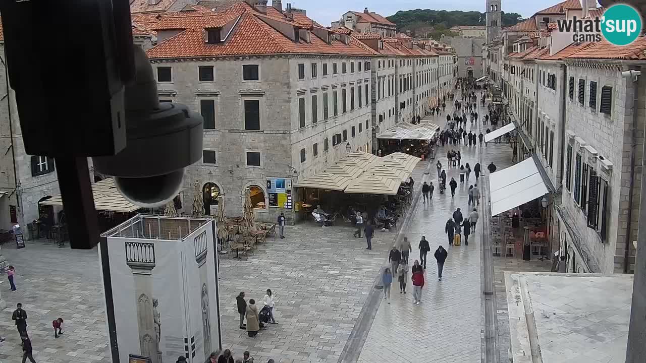 Live Webcam Dubrovnik Stradun