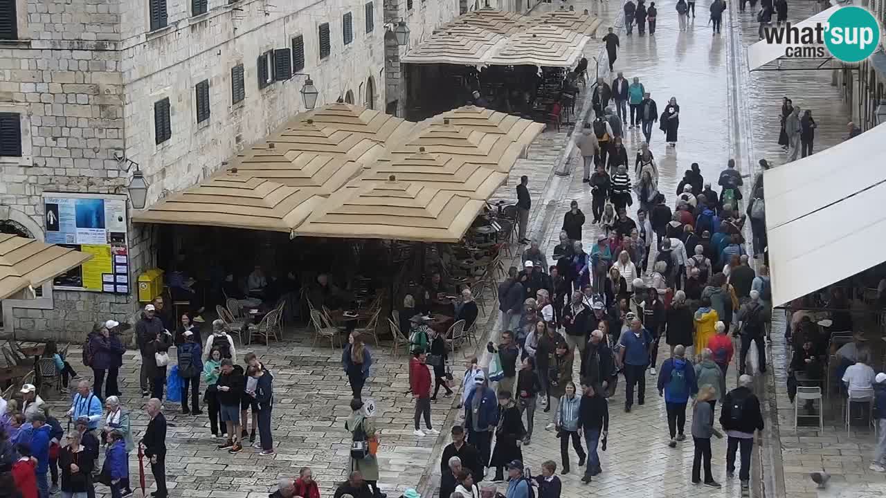 Livecam Dubrovnik Stradun