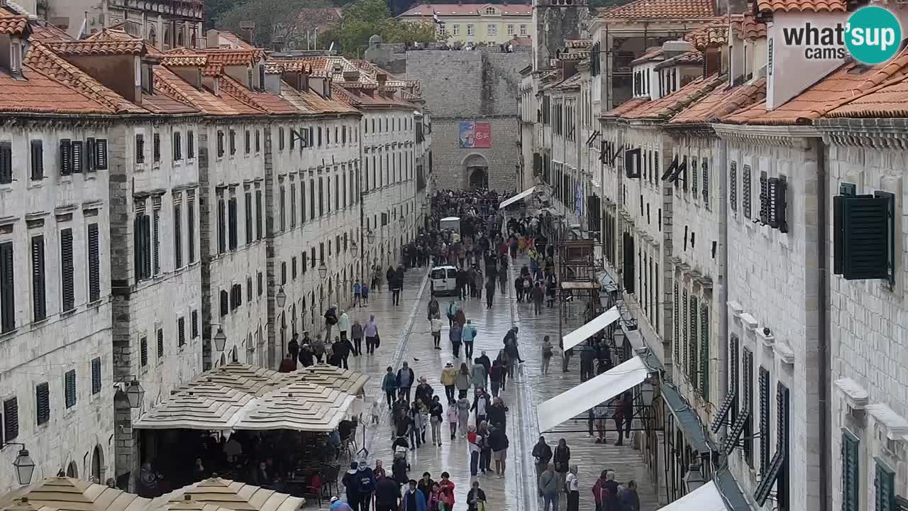 Livecam Dubrovnik Stradun