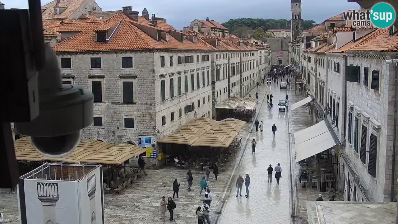 Live Webcam Dubrovnik Stradun