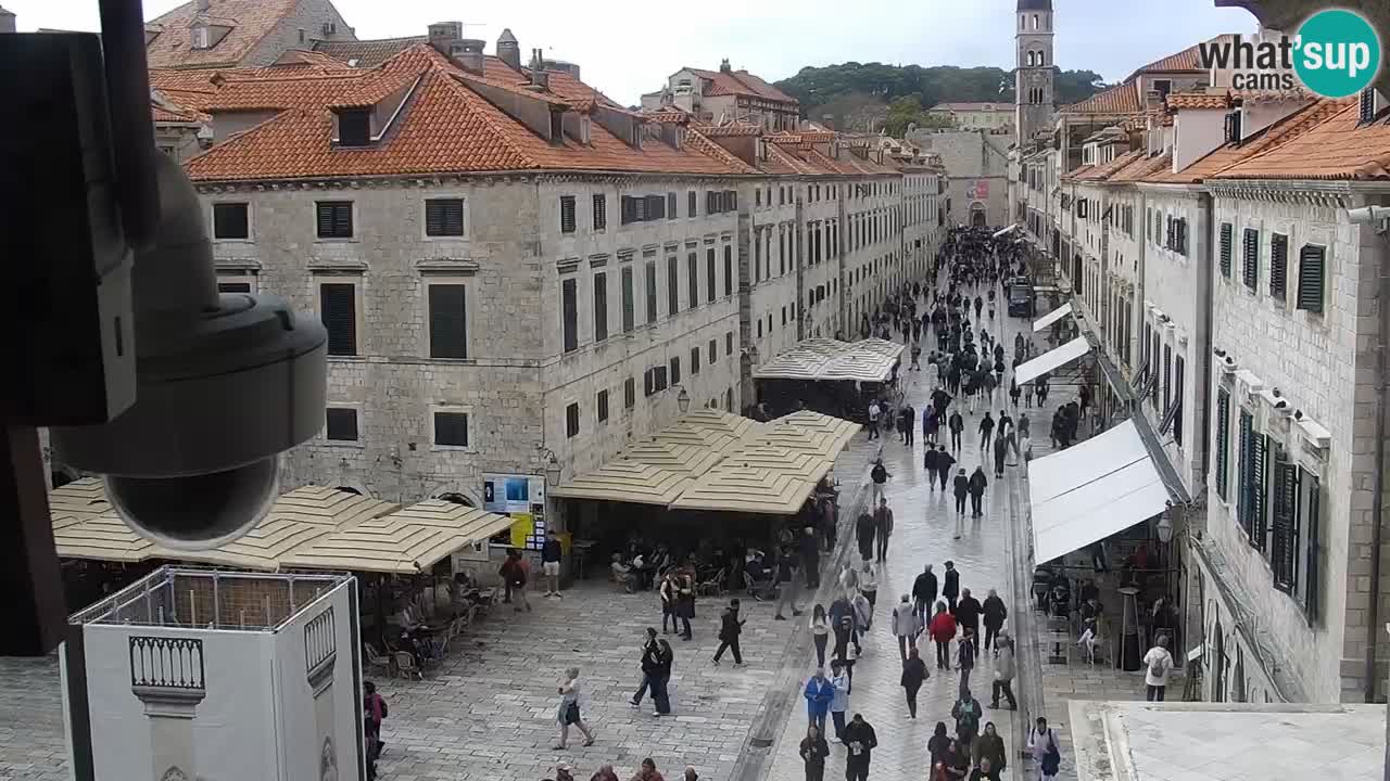 Camera en vivo Dubrovnik Stradun