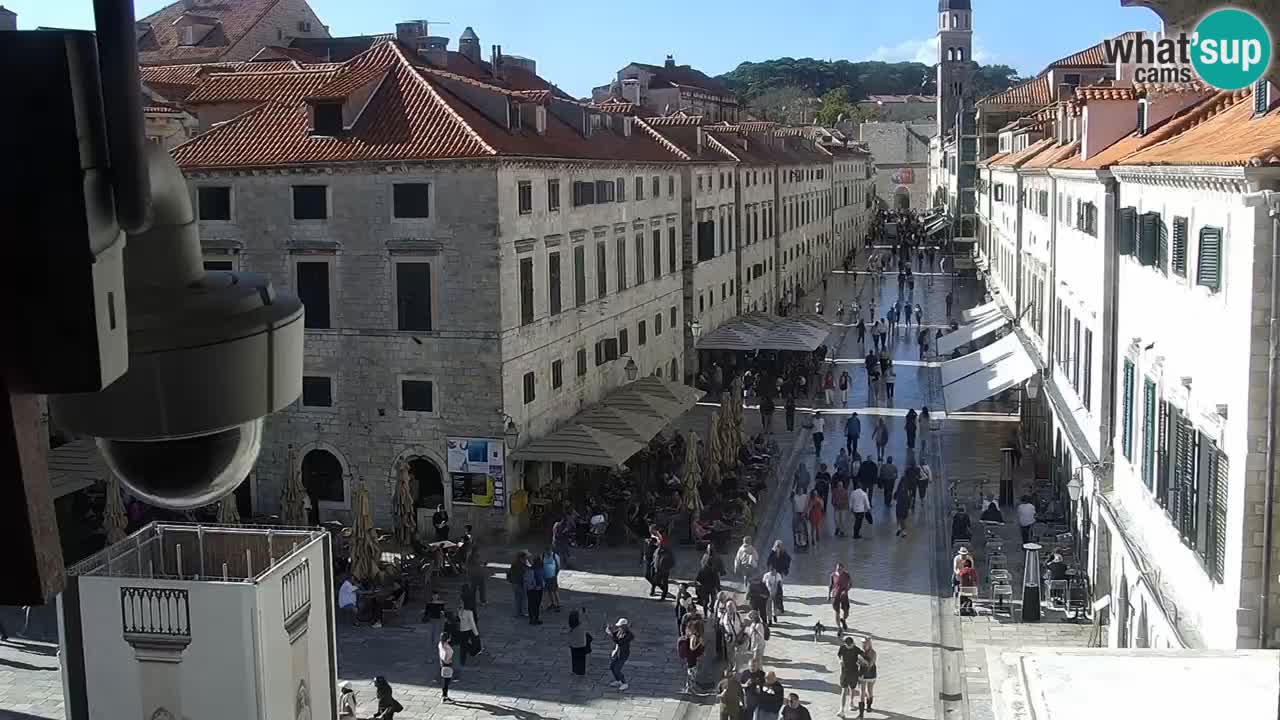 Webcam Ragusa (Dubrovnik) Stradun