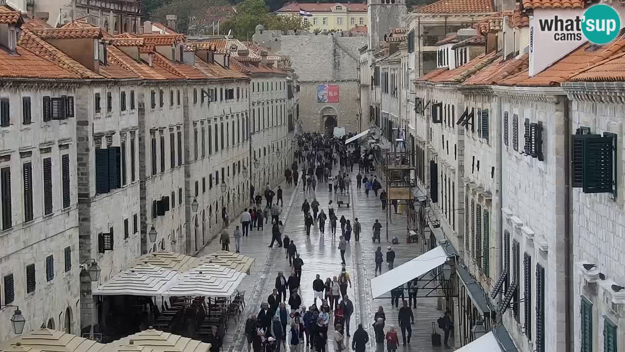 Live Webcam Dubrovnik Stradun