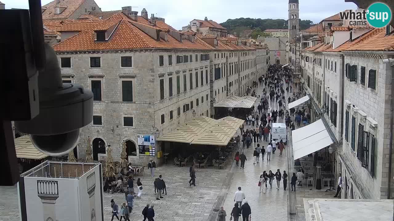 Livecam Dubrovnik Stradun