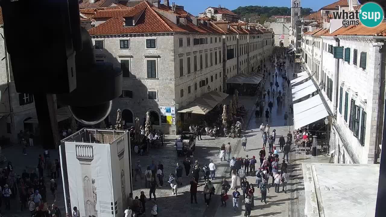 Livecam Dubrovnik Stradun