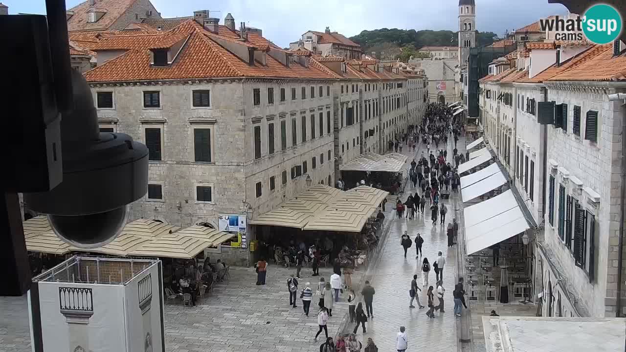 Livecam Dubrovnik Stradun