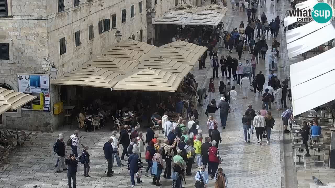 Livecam Dubrovnik Stradun