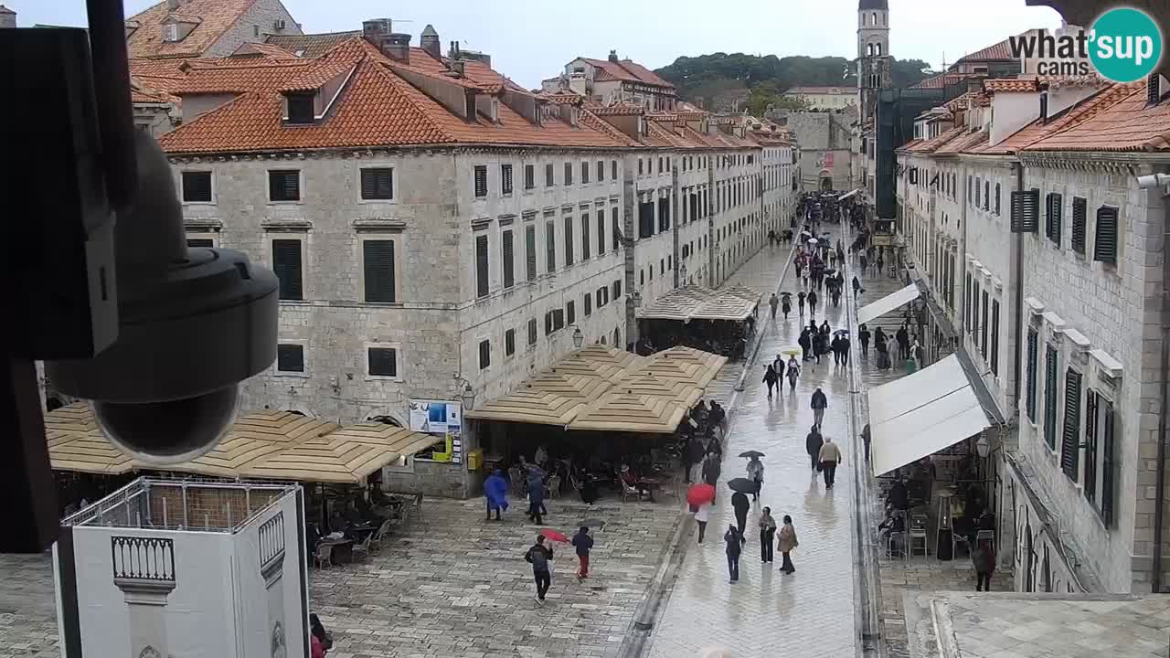 Livecam Dubrovnik Stradun