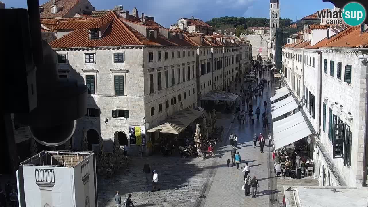 Live Webcam Dubrovnik Stradun