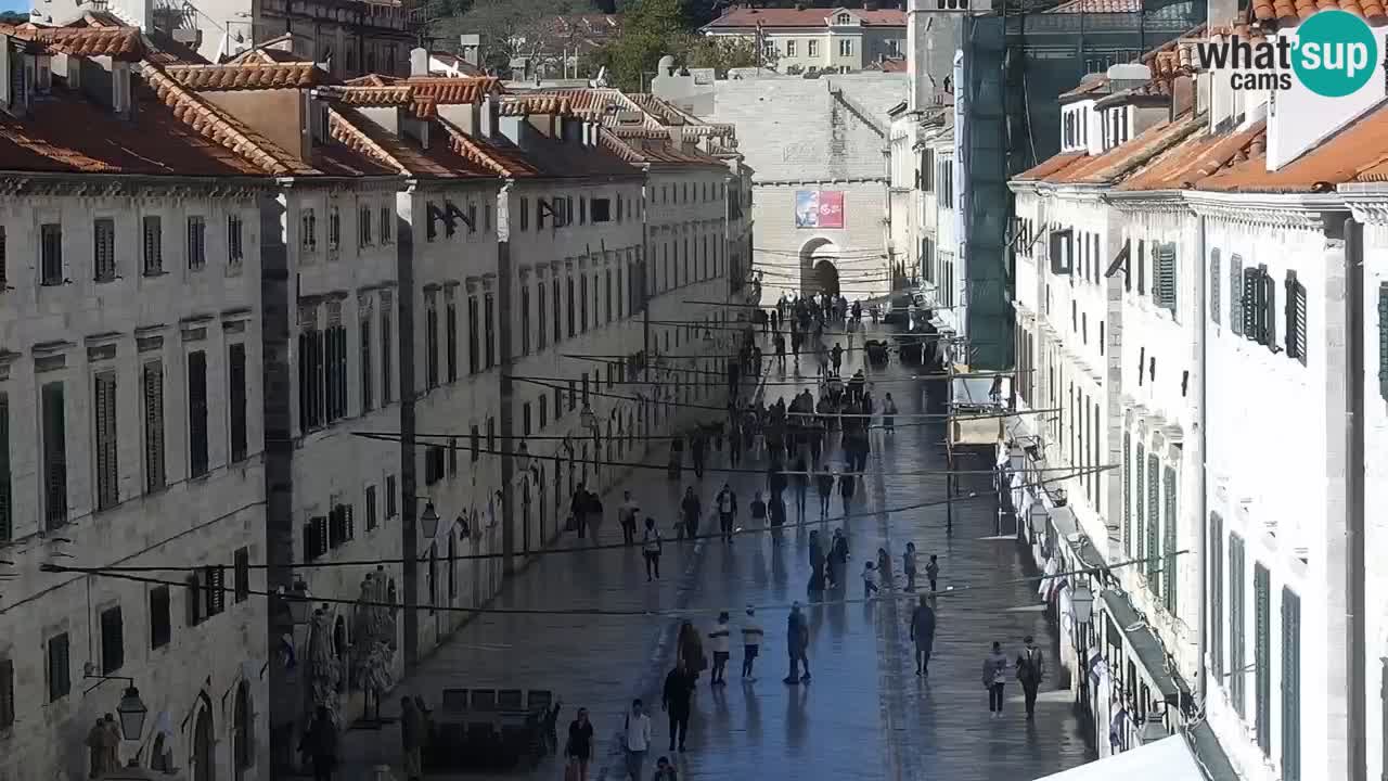Live Webcam Dubrovnik Stradun