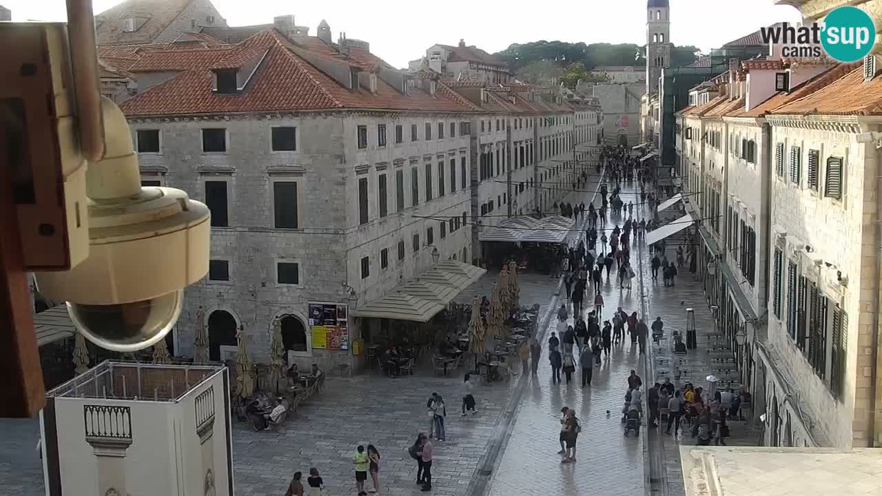 Kamera v živo Dubrovnik Stradun / Placa