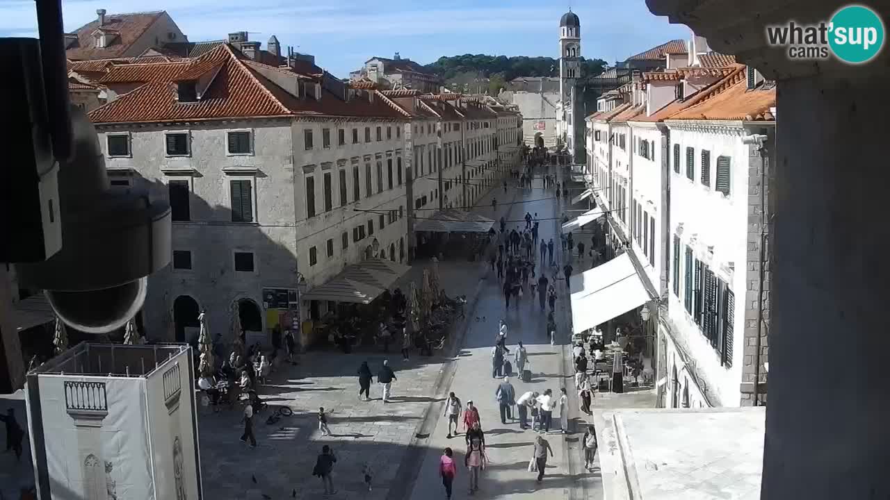 Livecam Dubrovnik Stradun