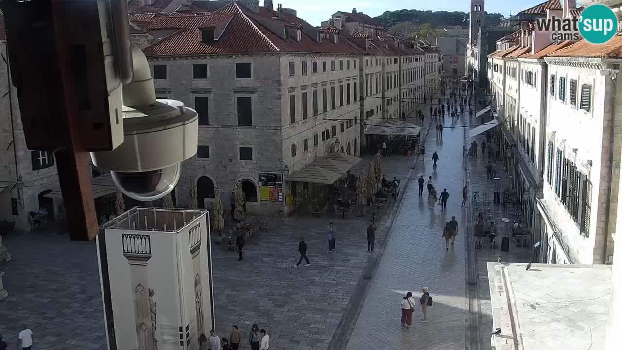 Livecam Dubrovnik Stradun