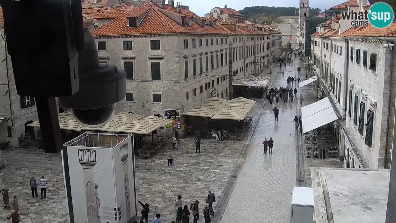 Livecam Dubrovnik Stradun